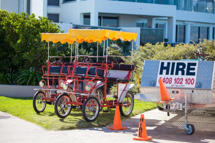 Family bikes on the grass