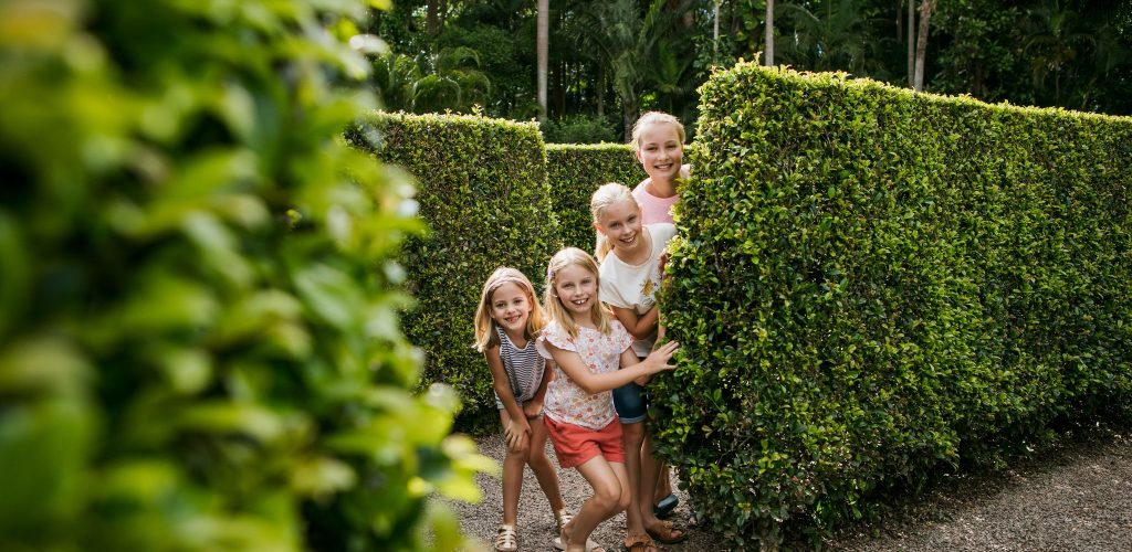 A family of girls looking out from a hedge maze