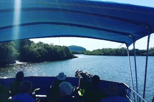 Cruise Maroochy~Exclusive Maroochy River Cruise Co. 5