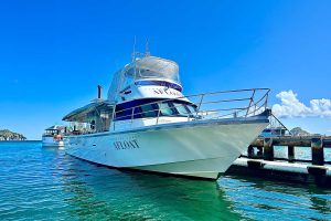 Crusader1-SCAfloat-2026-wide