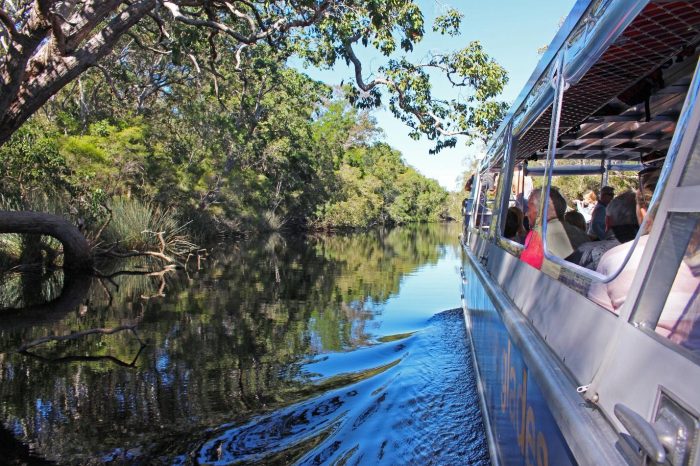 Everglades Eco Safaris 2