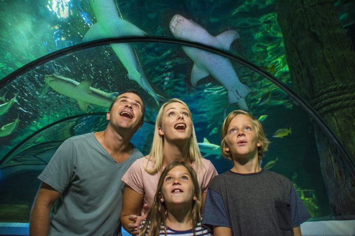 Family in the oceanarium with sharks