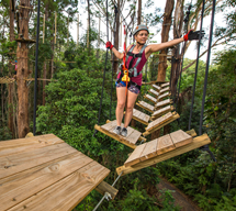 Girl in harness on tree top board walk