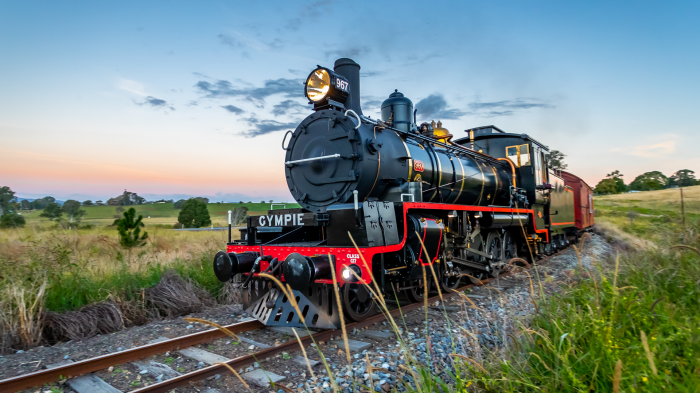 trains maryvalley rattler