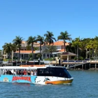 Top 6 things to do in Mooloolaba